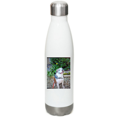 Water bottle&nbsp;, a White Stainless Steel Water Bottle