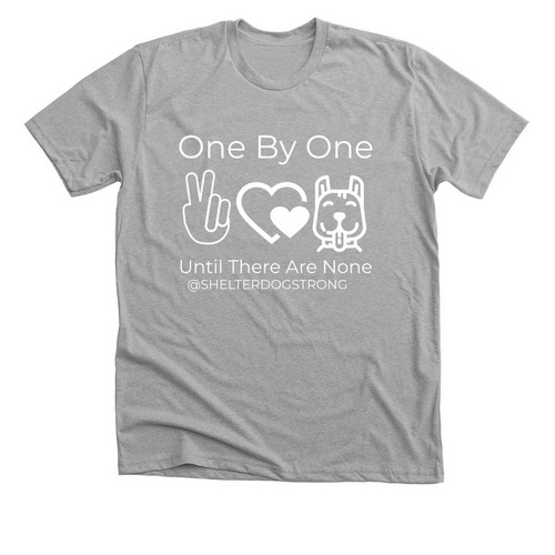 SECOND CHANCES NEVER GO OUT OF STYLE, a Athletic Heather Premium Unisex Tee