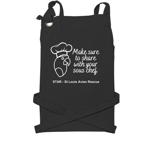 Apron, a Black Cotton Canvas Pocket Apron