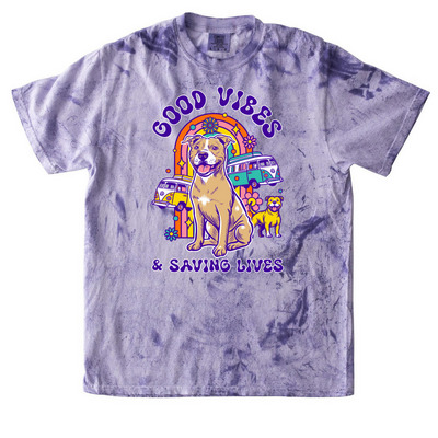 Pittiefest 2025, a Amethyst Comfort Colors Colorblast Tee