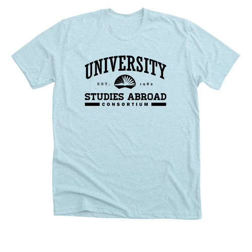 Collegiate (light): University Studies Abroad, a Heather Ice Blue Premium Unisex Tee
