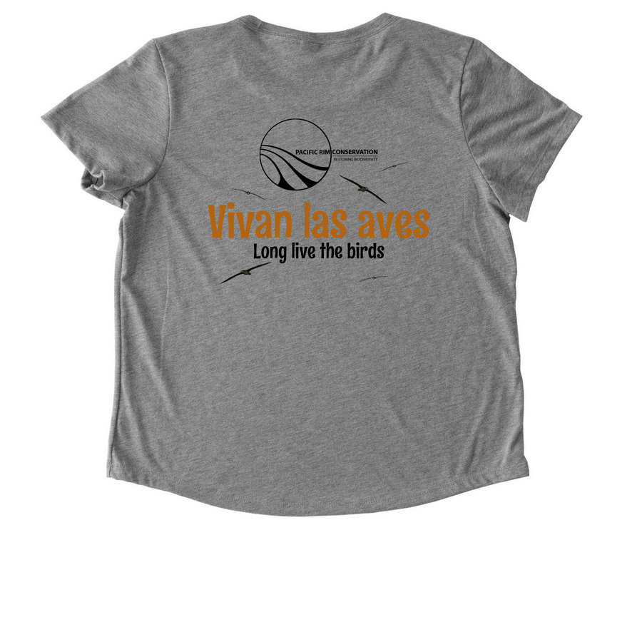 Albatros Patas Negras, a Aluminum Grey Allmade Eco Triblend Women?s Scoop Neck Tee (back-view)