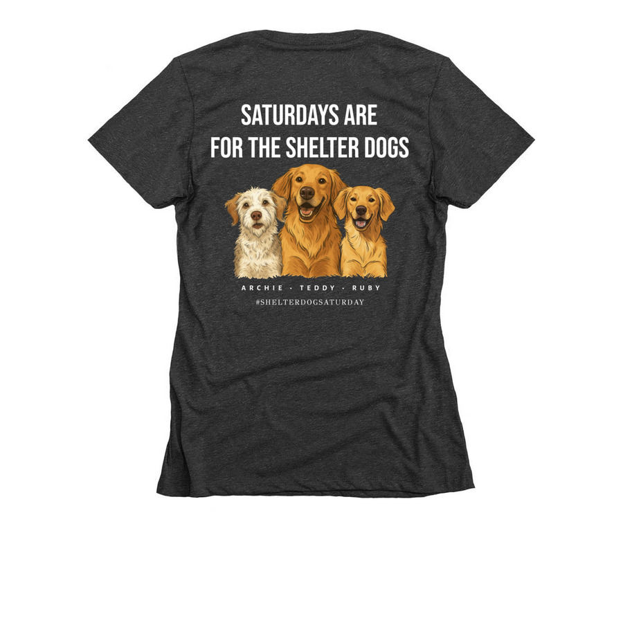 Shelter Dog Saturday Tee- 2025 Edition, a Charcoal Women's Slim Fit Tee (back-view)