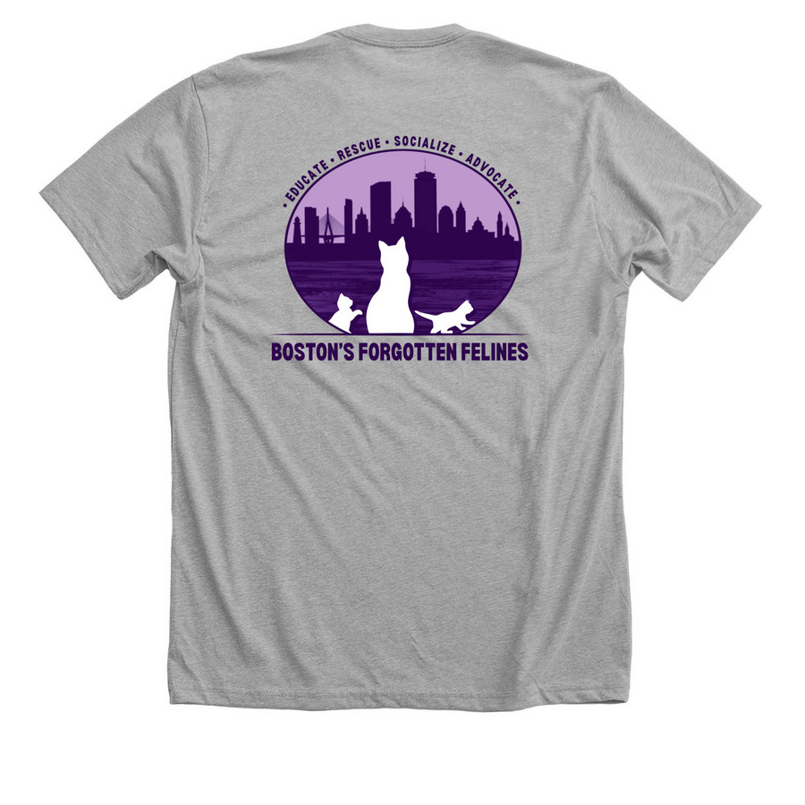 BFF Double Logo Shirt, a Athletic Heather Premium Unisex Tee (back-view)