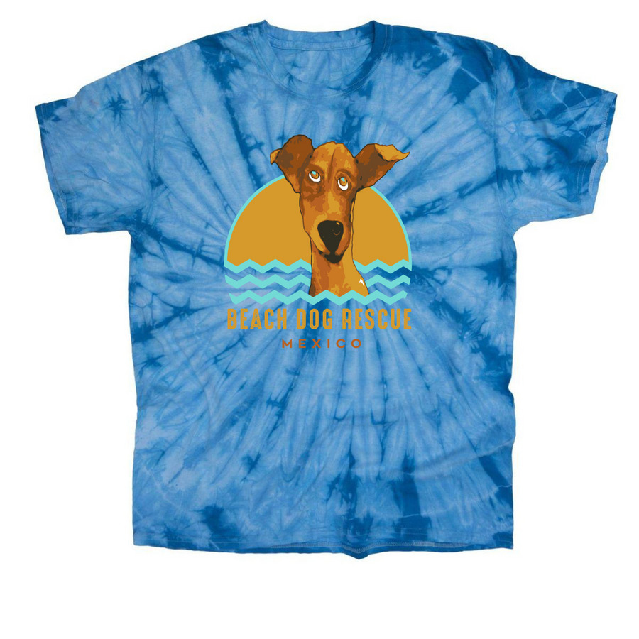 BDR Yellow Logo, a Baby Blue Classic Tie Dye Tee