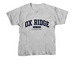 Classic Ox, a Sport Grey Youth Unisex Tee