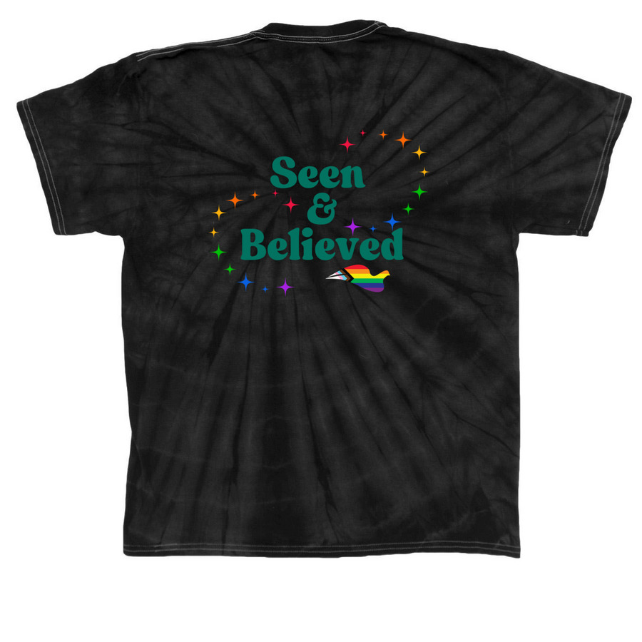 Seen and Believed ? Pride Collection, a Black Classic Tie Dye Tee (back-view)
