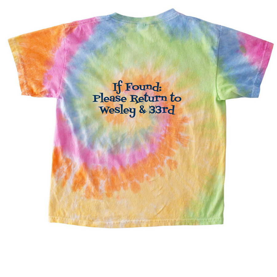 If Found, a Eternity Youth Tie Dye Tee (back-view)