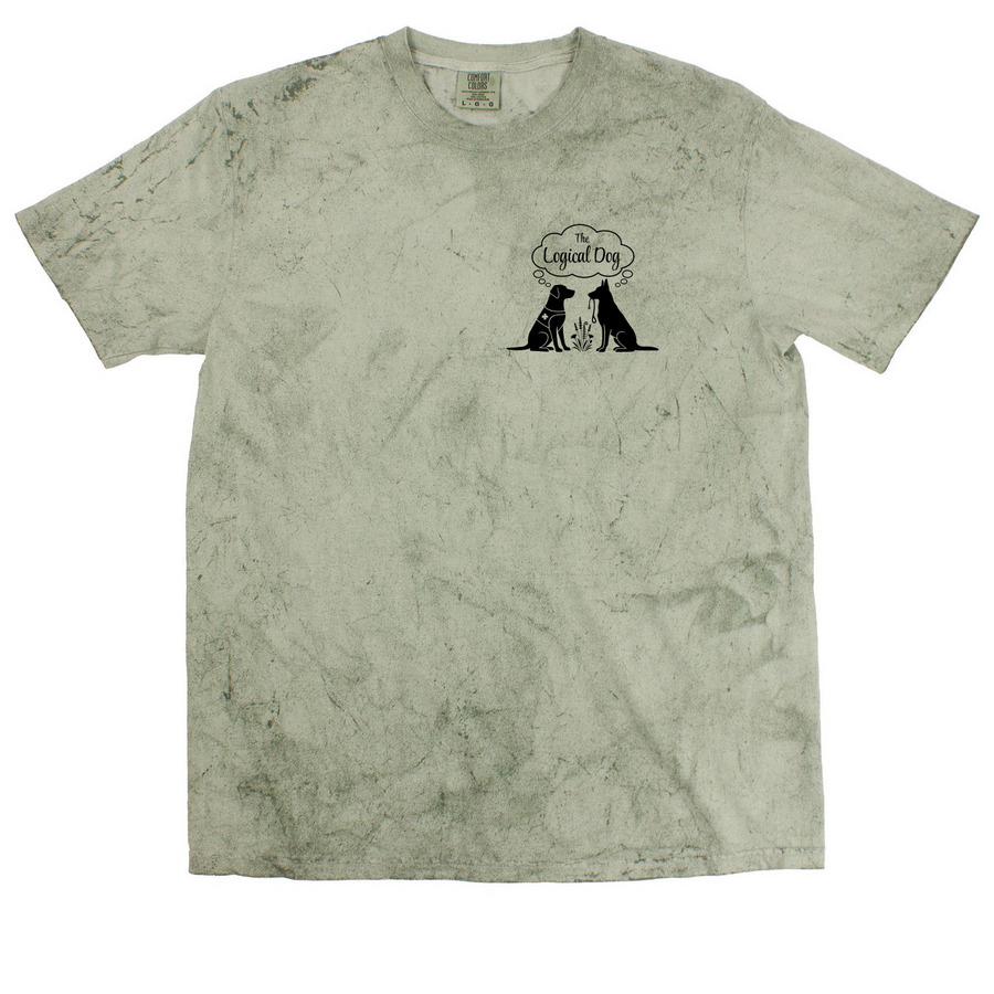 TLD Summer 26', a Fern Comfort Colors Colorblast Tee