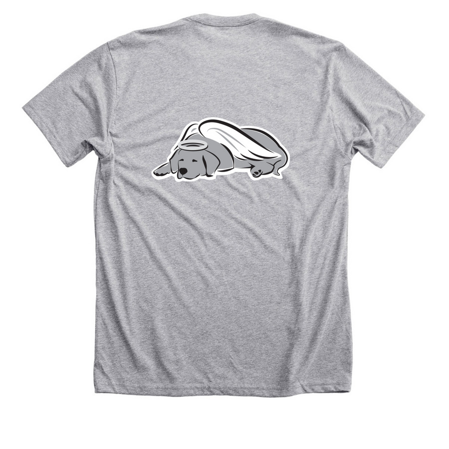 ODGTH LOGO, a Athletic Heather Premium Unisex Tee (back-view)