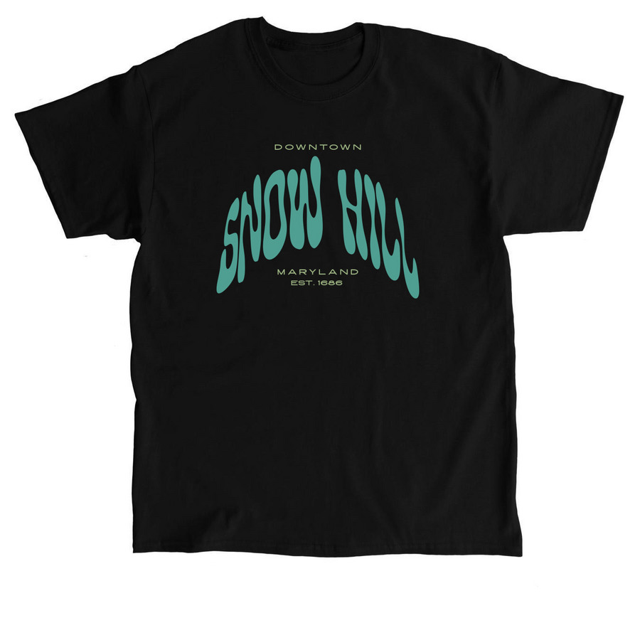 DTSH Inc 2026 A, a Black Classic Unisex Tee