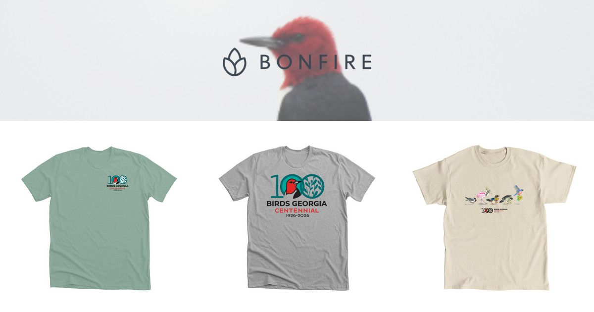 BIRDS GEORGIA | OFFICIAL MERCHANDISE | Bonfire
